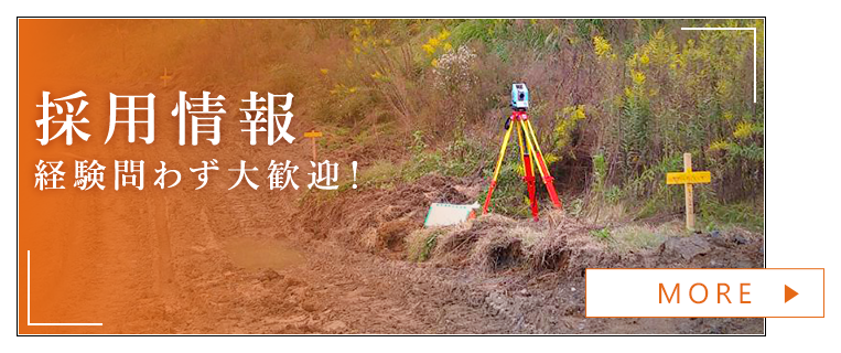 採用情報